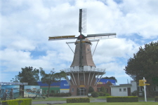 De Molen Foxton NZ